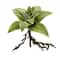 10" Succulent Artificial Plant with Roots, 3ct.